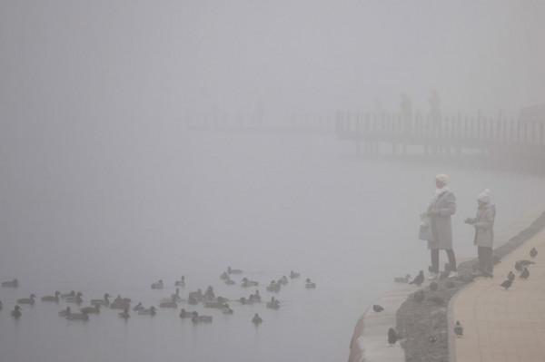 莫斯科罕見大霧致100多個航班延誤或取消