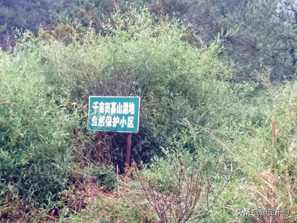 千畝田藏寶之謎 千畝田藏寶之謎