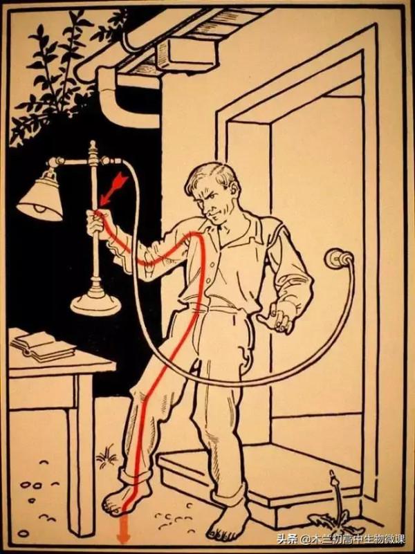 科普漫畫：物理老師來給咱講講這些觸電都是咋產生的，如何避免？
