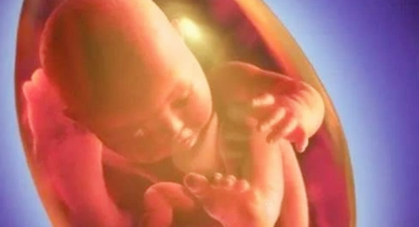 孕晚期娃“大頭朝下”不難受嗎？辛苦的不只媽媽，胎兒倒立更辛苦