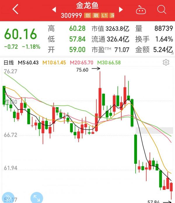 金龍魚邏輯 金龍魚邏輯