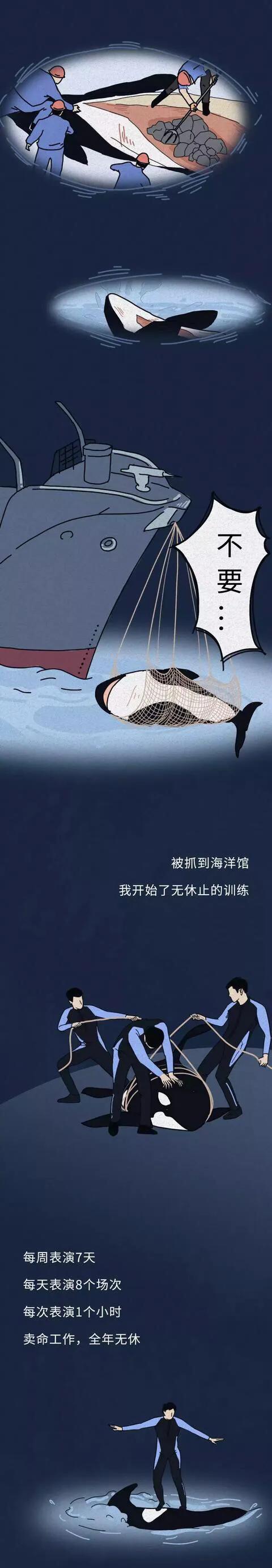 漫畫：你們也是這樣毀掉我的一生的