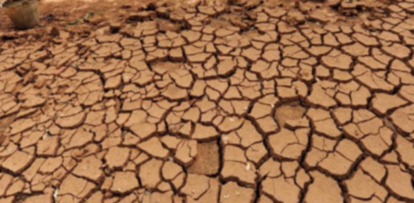 48年，一國軍軍長被蔣介石下令槍斃，臨死前振臂高呼：毛主席萬歲