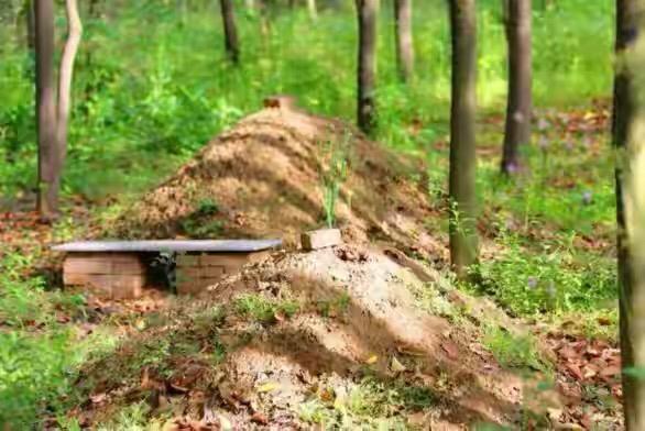 喪葬習俗的“服三”與“迎七”是啥意思 喪葬習俗的“服三”與“迎七”是啥意思