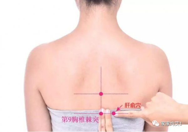 二十四節氣灸｜立春：艾灸養肝護肝！疏肝氣、清肝毒、養肝血