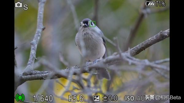 索尼A7M4真機實物上手