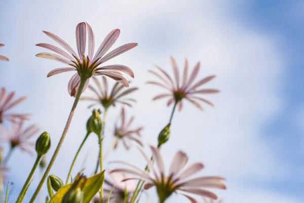 人，要學會&OpenCurlyDoubleQuote;寬容&rdquo;，心存善良