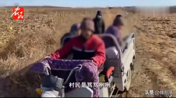 繼“偷菜團”後又出花生“撿拾團”，這次更橫，揚言報警也不怕