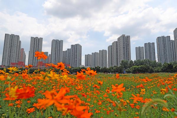 未來10年，多大面積的住宅比較受歡迎？內行人：不同城市選擇不同