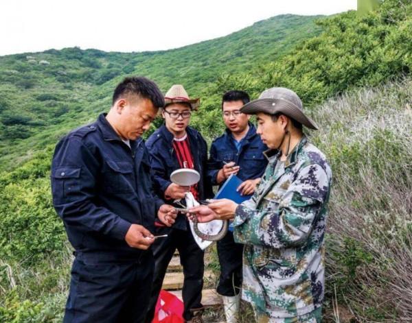 大連蛇島上的蛇為何越來越兇猛？一度傷痕累累，如今重煥生機