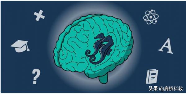 改造DNA,讓孩子更聰明 改造DNA,讓孩子更聰明