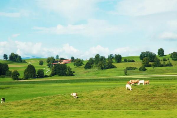 10年深度+豪華遊玩60國