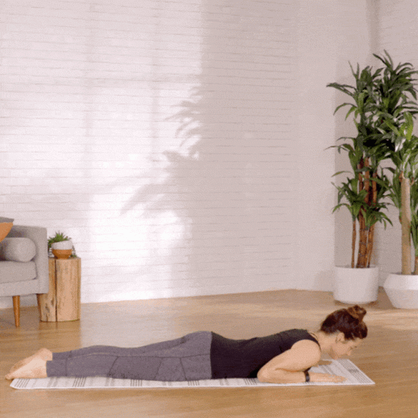 一套適合初學者的「 入門級 」瑜伽序列，建議每天練習