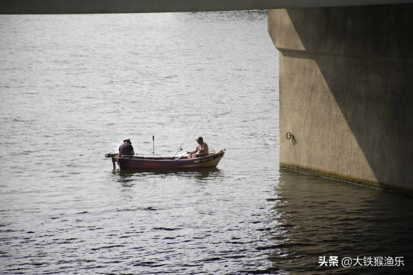 3天釣光一條河,魚沒了人跑了,滅絕性垂釣太可怕了 3天釣光一條河,魚沒了人跑了,滅絕性垂釣太可怕了