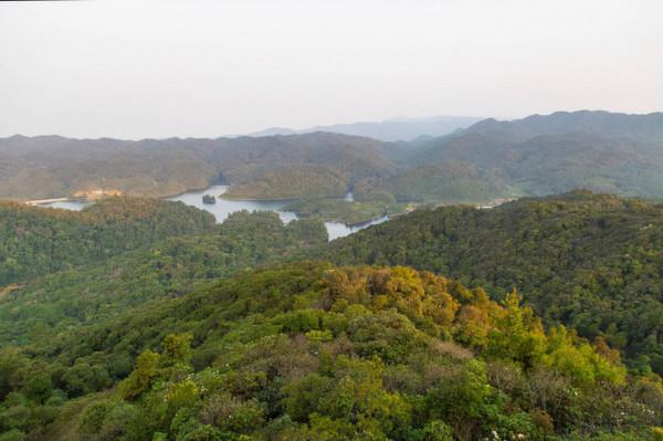 遺世而獨立的杜鵑湖最美