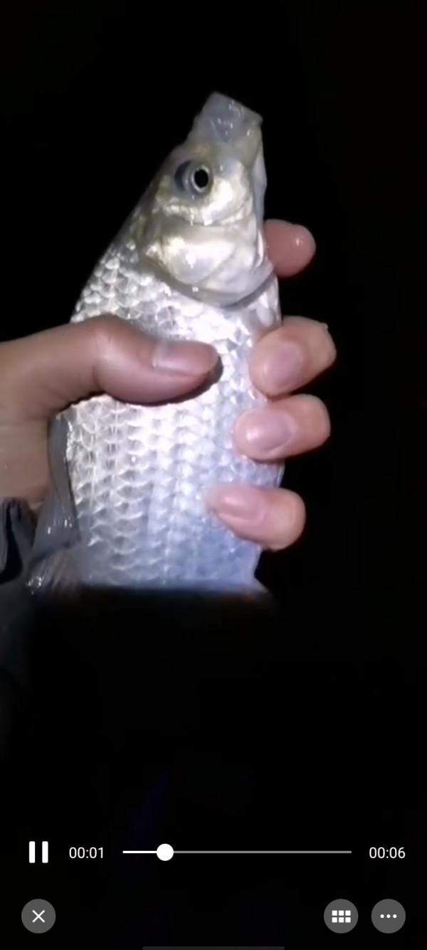 垂釣之旅——日行千里，只為漁你相見