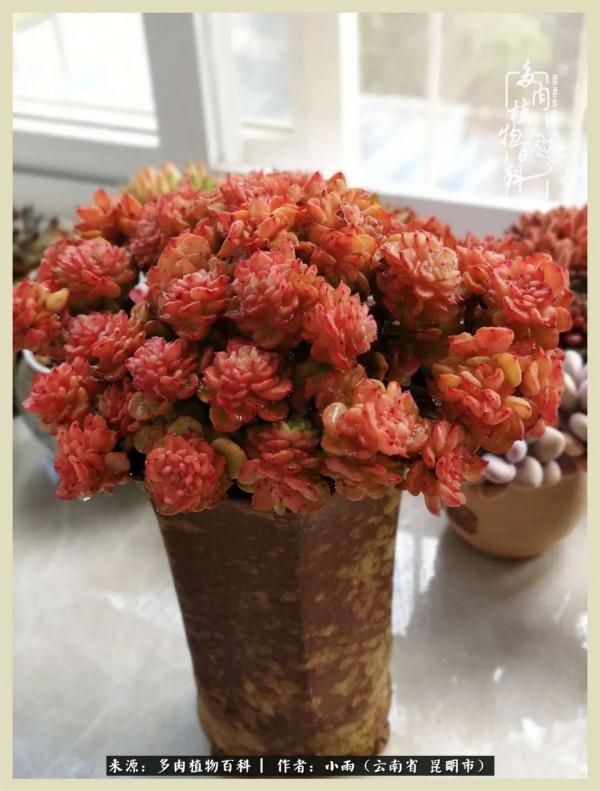 用一份熱愛，溫暖一段時光