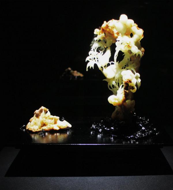 來到岫巖地區,才知道岫巖玉是中國國家地理標誌產品 來到岫巖地區,才知道岫巖玉是中國國家地理標誌產品