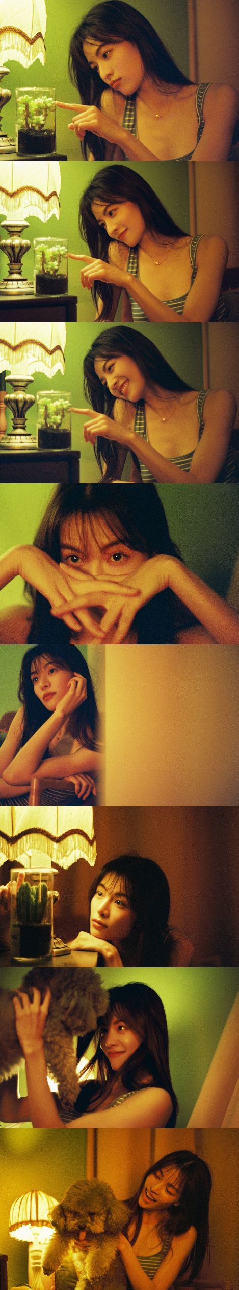 鍾楚曦:明豔系美人 鍾楚曦:明豔系美人