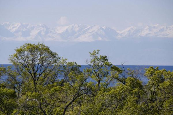 中亞五國漫遊之吉爾吉斯，我們在那裡拜謁了詩仙李十二出生的地方
