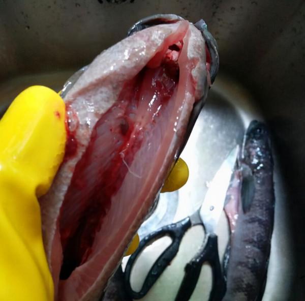 魚去腥,光抽魚腥線是不對的,處理好這4個腥味源,鮮美沒腥味 魚去腥,光抽魚腥線是不對的,處理好這4個腥味源,鮮美沒腥味