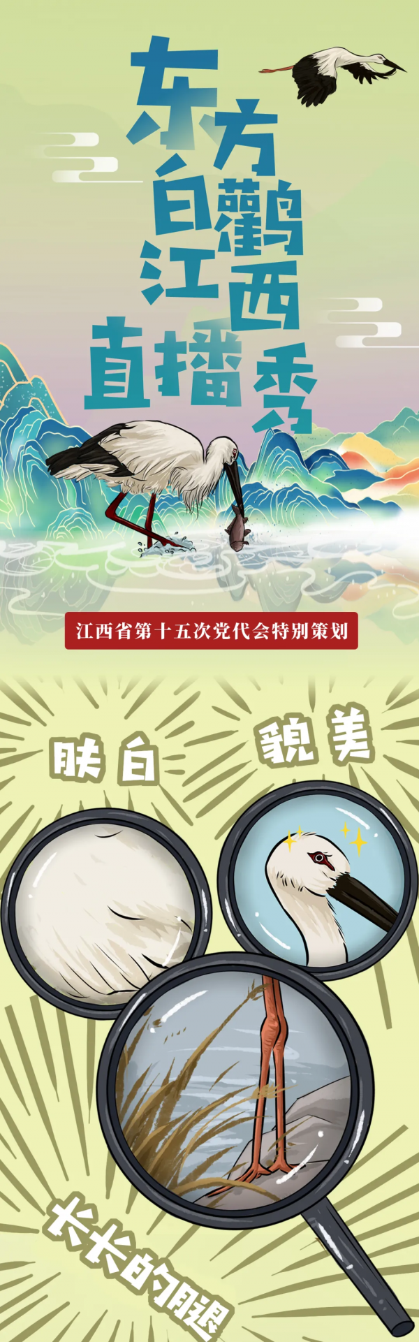 超萌！東方白鸛江西直播秀來了