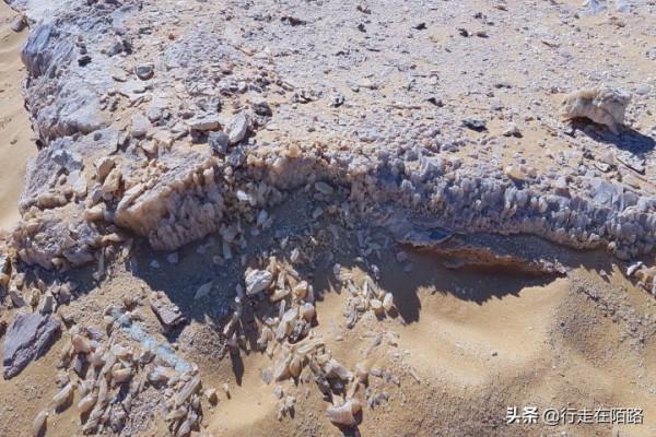 沙漠牧民的無奈:有家不住非要不斷遷徙,不認國籍不守法律 沙漠牧民的無奈:有家不住非要不斷遷徙,不認國籍不守法律