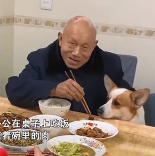 外公吃飯時故意掉下1塊肉，挪到汪的面前，女子：你也太可愛了