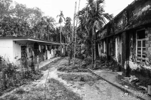 40年的記憶——海南國營乘坡農場行