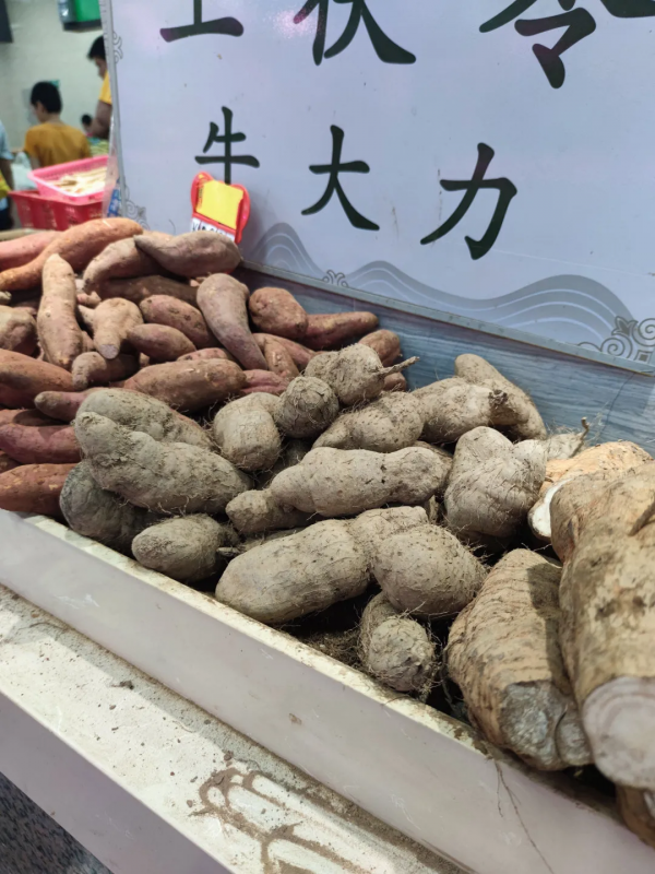 下一個吃遊目的地,我要從這些裡面選 下一個吃遊目的地,我要從這些裡面選