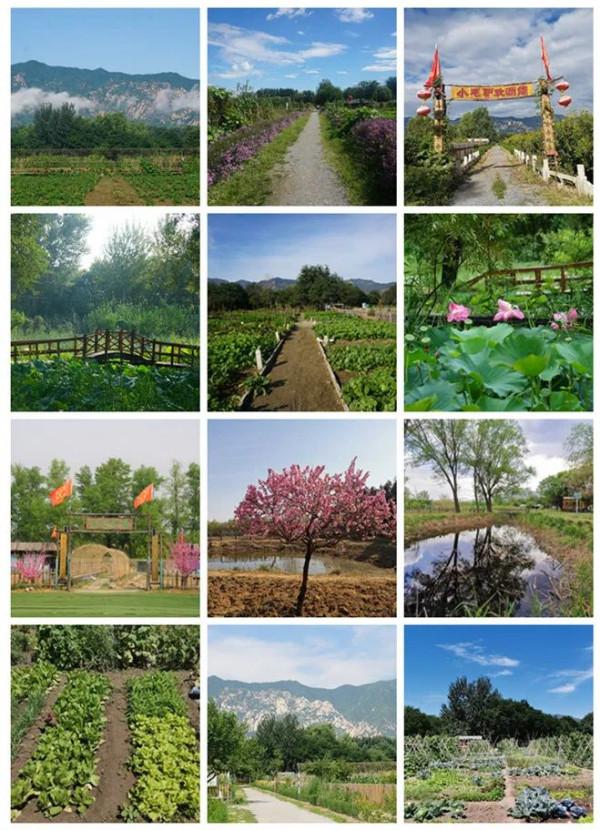 走!上小毛驢農園租地種菜去~ 走!上小毛驢農園租地種菜去~