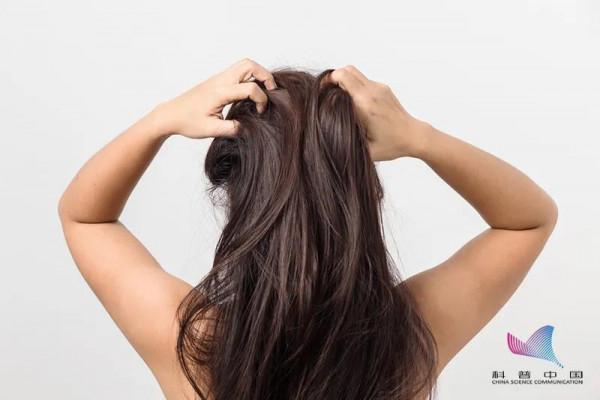 為什麼壓力大時會長白頭髮？這些習慣可能會催生白髮&hellip;