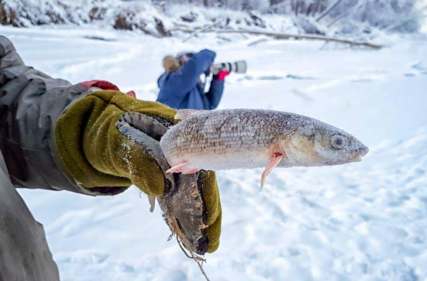 零下71℃！堪稱北半球&quot;寒極&quot;的奧伊米亞康，人們是如何生活的？