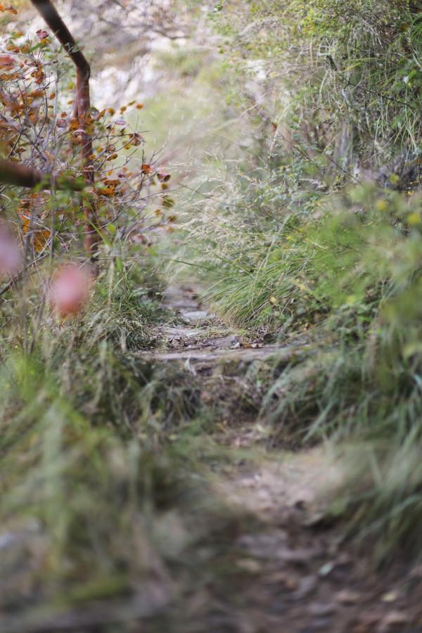 北京徒步登山:人少且免費的爬山步道,房山石花洞鳥語林風景區 北京徒步登山:人少且免費的爬山步道,房山石花洞鳥語林風景區
