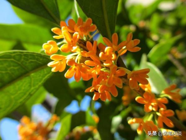 詩詞裡的斑斕色彩：點翠勻紅、薄冰盛綠雲，古人真的太會描寫了