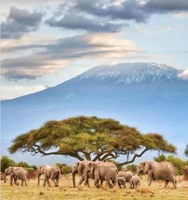 世界上最美的十五座大山