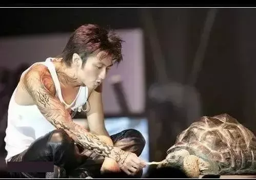 動物世界：從狗生贏家王可可開始，扒一扒各路明星斥巨資養的寵物