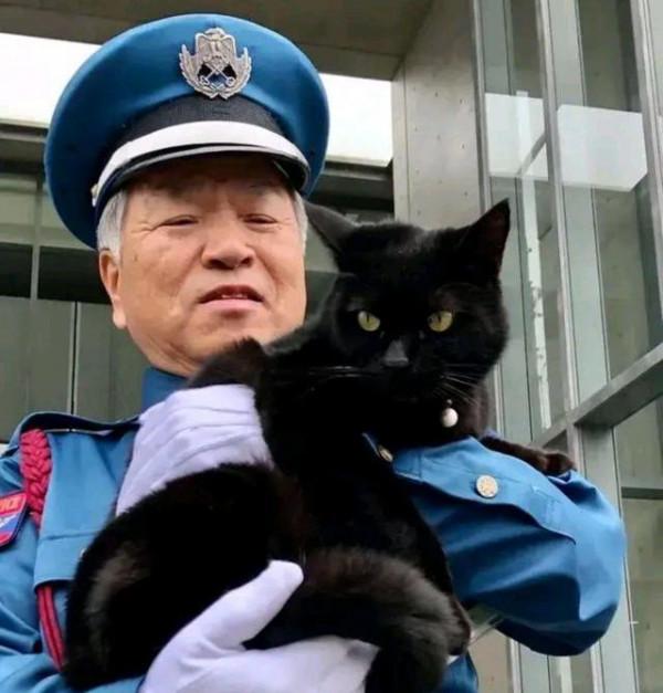 保安連續4年被貓騷擾，本以為是想求收養，瞭解意圖後被可愛到了