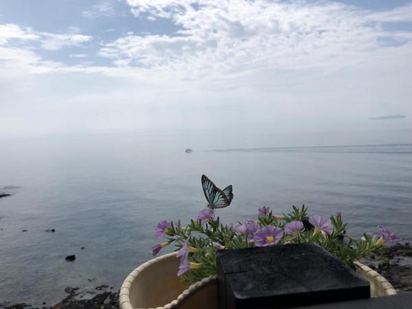 北海潿洲島旅遊攻略