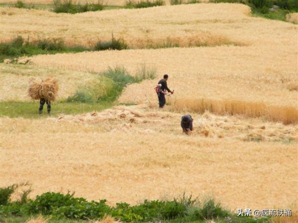 徒步西藏第52天:被藏民拒絕後,借宿村委會 徒步西藏第52天:被藏民拒絕後,借宿村委會