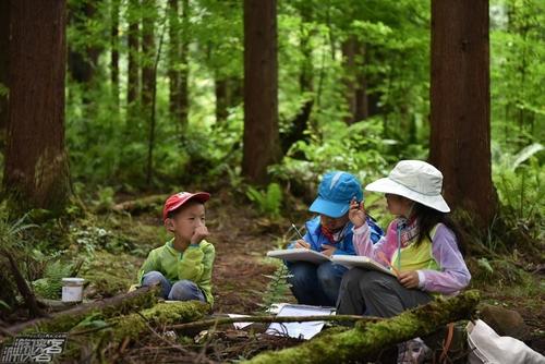 安徽親子游 | 願孩子在自然中，在好奇心中慢慢長大