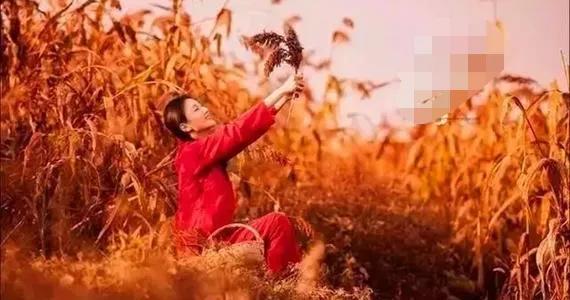 那一片片的高粱地裡,有著農村人的很多秘密,你想知道嗎 那一片片的高粱地裡,有著農村人的很多秘密,你想知道嗎