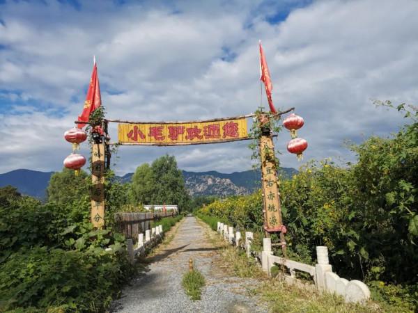 走!上小毛驢農園租地種菜去~ 走!上小毛驢農園租地種菜去~