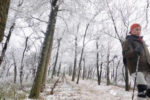 原來江南也有如此夢幻霧凇 原來江南也有如此夢幻霧凇