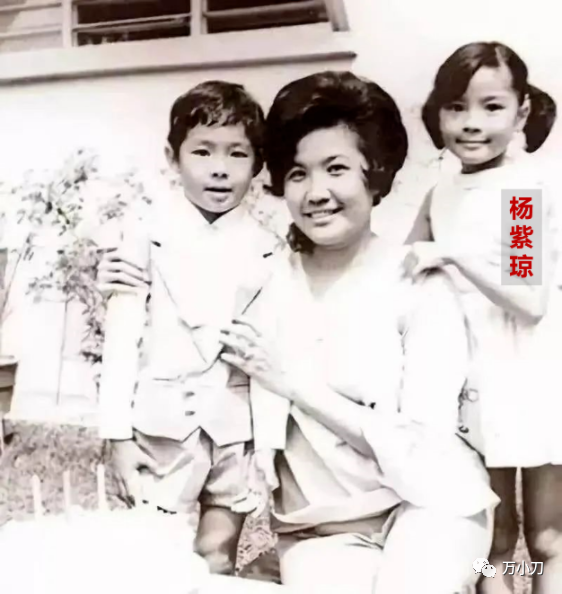 “功夫女皇”楊紫瓊:5任男友皆是精品,53歲嫁法拉利總裁 “功夫女皇”楊紫瓊:5任男友皆是精品,53歲嫁法拉利總裁