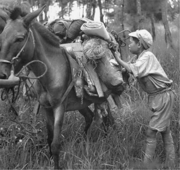 紅軍團長河南當“馬伕”8年無人知,1959年,毛主席點名帶其進京 紅軍團長河南當“馬伕”8年無人知,1959年,毛主席點名帶其進京