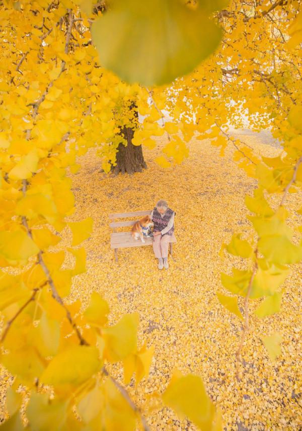 你有多久沒有回家看看了