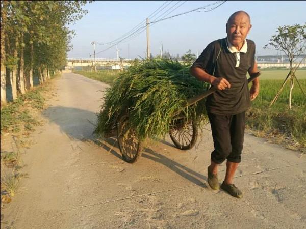 農民窮，農民苦，農民的出路在何方？