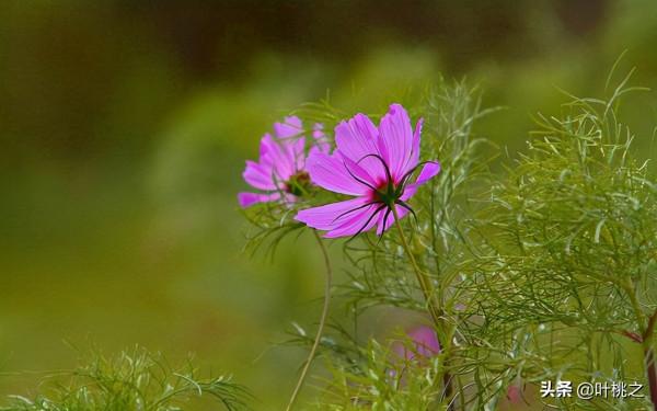 人到中年，別隨便佔“便宜”