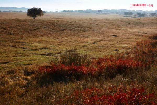 這一次,為什麼是承德? 這一次,為什麼是承德?